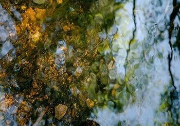 U.S. Algenesis produces biodegradable polyurethane from algae with 52% bio-based content